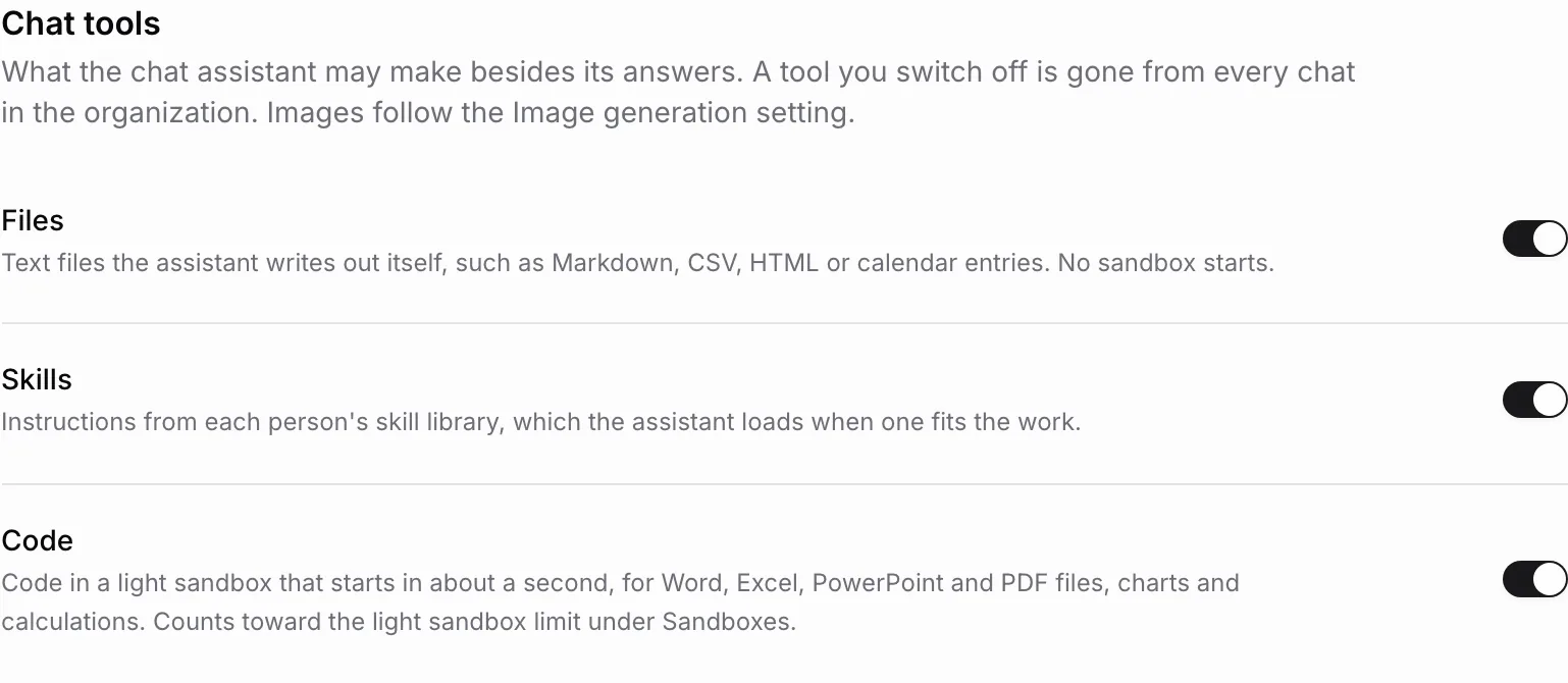 The Chat tools section with three switched-on rows: Files, for text files the assistant writes itself; Skills, for instructions from each person's skill library; and Code, for code in a light sandbox.
